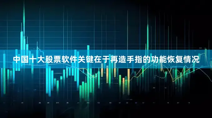 中国十大股票软件关键在于再造手指的功能恢复情况